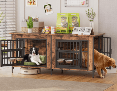 Indoor vs. Outdoor Options: Which Setup Is Best for Your Pet?